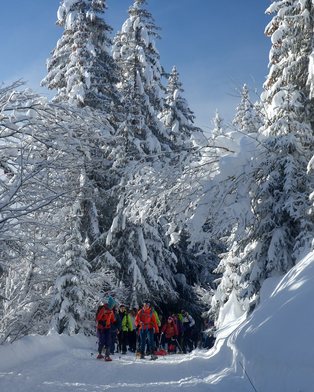 Schneeschuhwanderung-in-Berguen